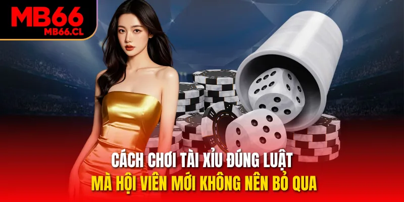 Cách chơi Tài Xỉu đúng luật mà hội viên mới không nên bỏ qua Cách chơi Tài Xỉu đúng luật mà hội viên mới không nên bỏ qua