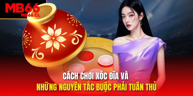 Cách chơi Xóc đĩa và những nguyên tắc buộc phải tuân thủ Cách chơi Xóc đĩa và những nguyên tắc buộc phải tuân thủ