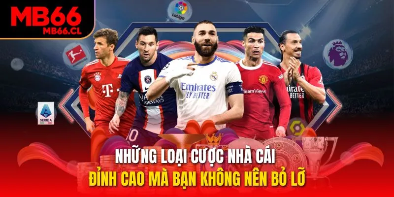 Những loại cược nhà cái đỉnh cao mà bạn không nên bỏ lỡ Những loại cược nhà cái đỉnh cao mà bạn không nên bỏ lỡ