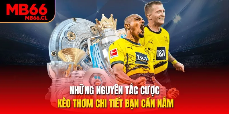 Những nguyên tắc cược kèo thơm chi tiết bạn cần nắm Những nguyên tắc cược kèo thơm chi tiết bạn cần nắm