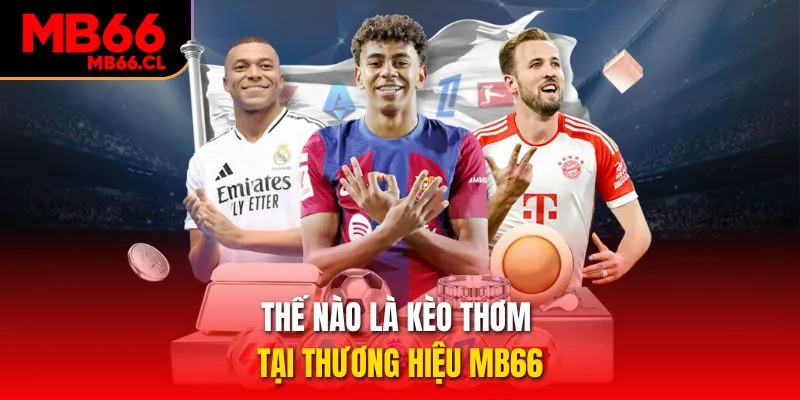 Thế nào là kèo thơm tại thương hiệu MB66 Thế nào là kèo thơm tại thương hiệu MB66