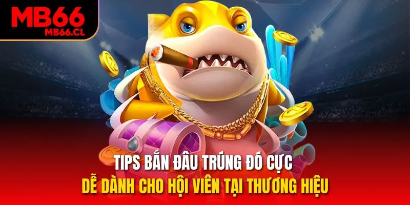 Tips bắn đâu trúng đó cực dễ dành cho hội viên tại thương hiệu Tips bắn đâu trúng đó cực dễ dành cho hội viên tại thương hiệu