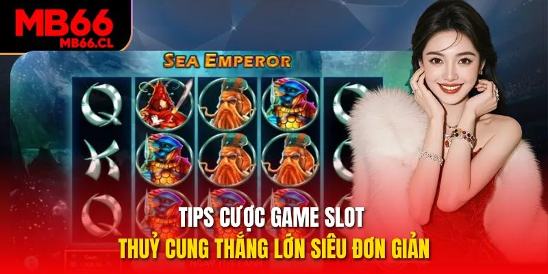Tips cược game slot Thuỷ Cung thắng lớn siêu đơn giản Tips cược game slot Thuỷ Cung thắng lớn siêu đơn giản