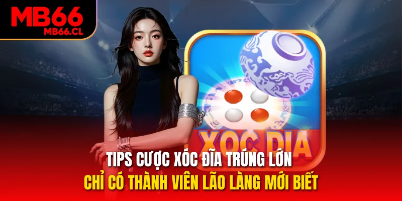 Tips cược Xóc đĩa trúng lớn chỉ có thành viên lão làng mới biết Tips cược Xóc đĩa trúng lớn chỉ có thành viên lão làng mới biết